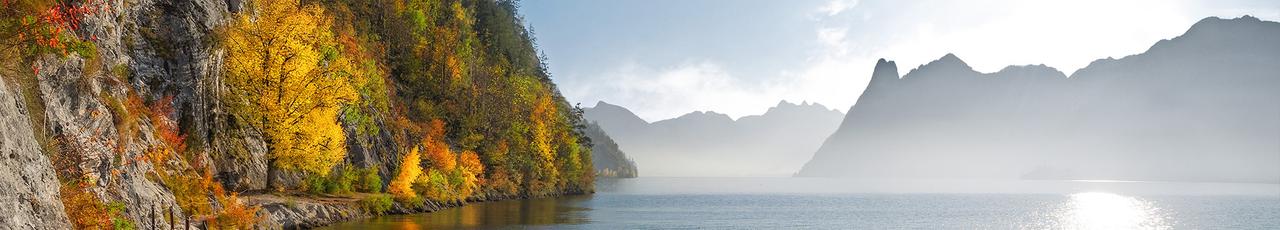 Autumn foliage along a river with misty mountains in the background