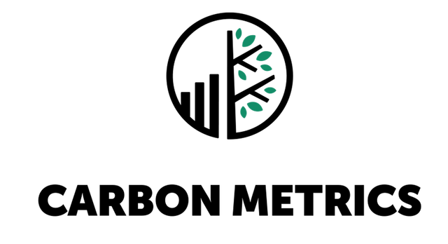 Ein kleiner Cluster grüner Blätter vor schwarzem Hintergrund